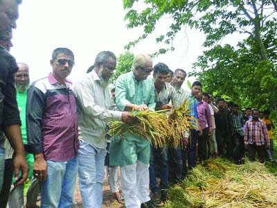 NANDAIL ( Mymensingh): Major General Alhaj Abdus Salam, President, Nandail Upazila Awami League visiting flood-hit areas at Gangail Union where Boro crops were submerged due to flash flood recently.