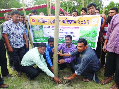 JHENAIDAH : DC Mahbub Alam Talukder declared Ghorshal Union as Sajina union transplanting a branch of Sajina plant at Jaduria village in Sadar upazila on Thursday afternoon.