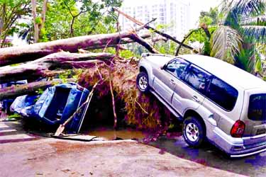 A car was flattened [left] while another one climbed upon a hillock [right] being driven away by the gusty wind and hit by an uprooted tree on Monday night. The photo was taken from Rajarbagh area on Tuesday morning.