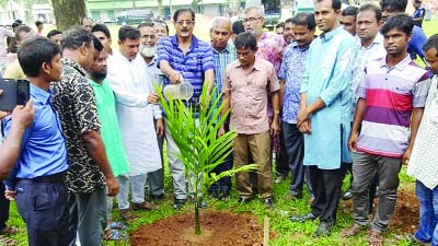 SHERPUR(Bogra): Md Habibur Rahman MP planting sapling at Sherpur Degree College premises yesterday.