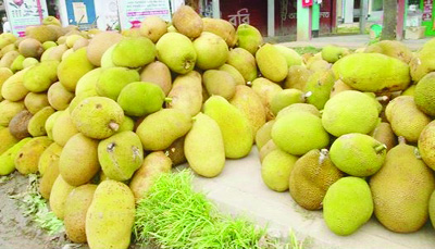 NARSINGDI: Jackfruits have been piled up in Kamartek Bus Stand for sending to Dhaka .