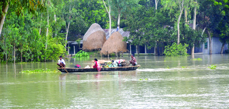 BOGRA: People at Rouhadah village in Sariakandi Upazila moving to a safer place as the whole village has been inundated. This picture was taken on Friday.