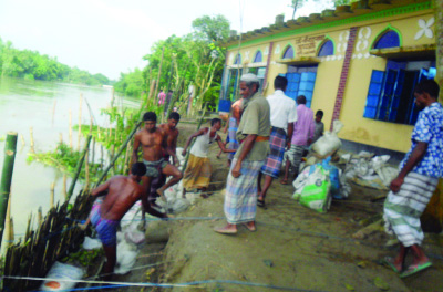 JAMALPUR: People are trying to save Sapipati Bazar and ancient mosque from Balidah khal erosion at Melandah Upazila yesterday.