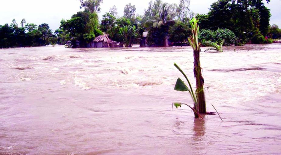 At least two lakh people of Jamalpur district were marooned as onrush of hilly waters from the upper stream engulfed fresh areas. This photo was taken from Dewanganj on Saturday.