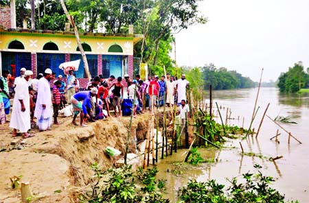 Local people struggling hard to protect their houses, mosque as erosion of Jamuna River Bank started after flood waters hit Jamalpur. This photo was taken from Fulia union of Melandama upazila in Jamalpur on Sunday.
