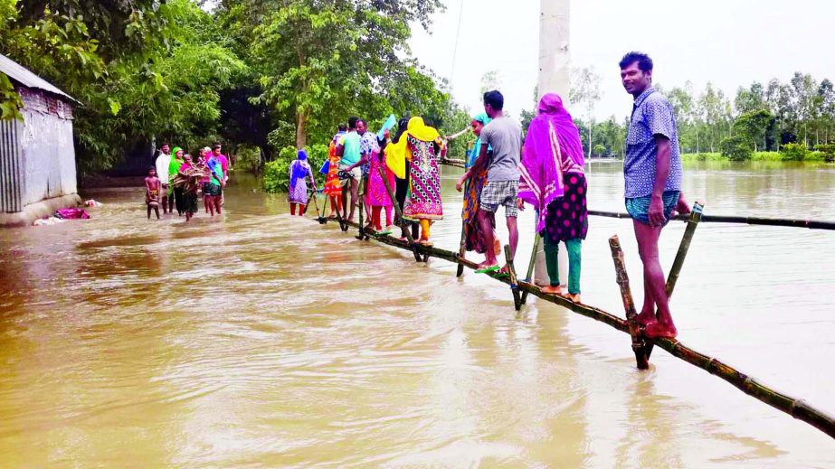 The onrush of hilly water triggered by heavy downpour over the last few weeks inundated vast areas in many upazilas of Jamalpur district, also disrupting communications. This photo was taken on Tuesday.