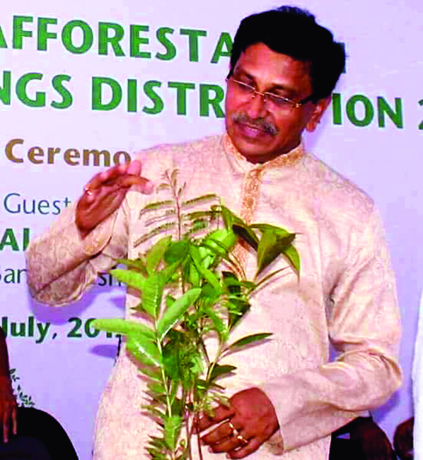 KUSHTIA: Mahbubul Alam Hanif MP, Joint Secretary of Bangladesh Awami League inaugurating tree plantation programme beside Kushtia by-pass road recently .