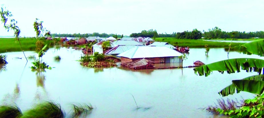 KURIGRAM: Most of the Char areas at Kurigram under Brahmaputra River basin went under flood water on Friday.