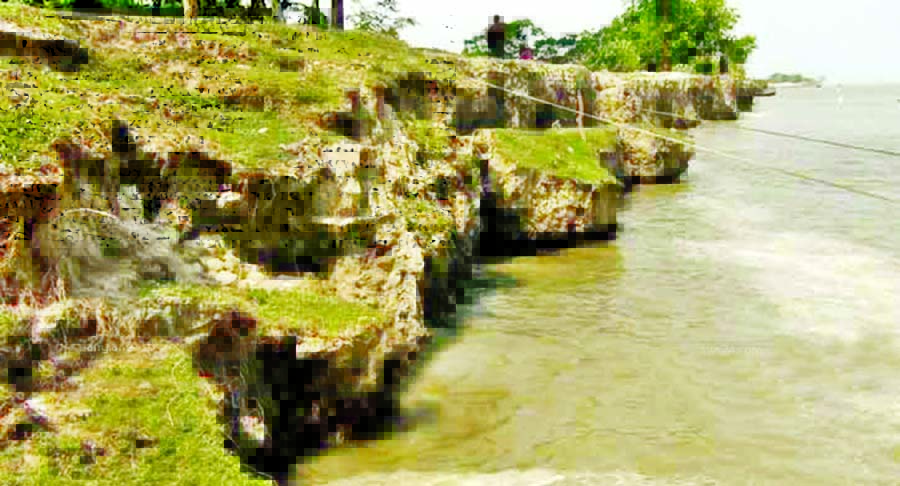 With the rise of water level in Paira River, erosion takes a serious turn in Tetulbaria area under Taltali Upazila of Barguna district devouring homesteads and farmlands. This photo was taken on Tuesday.