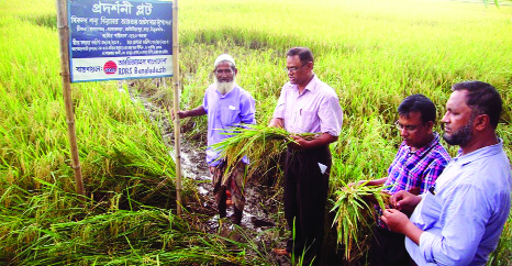 RANGPUR: Additional Deputy Director of the DAE, Thakurgaon Shafikul Islam inaugurating the harvest of Aus variety BRRI Dhan48 at a farmers' field day in village Madarganj under Sadar upazila in Thakurgaon as Chief Guest on Thursday afternoon.