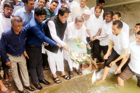 Chairman of the Parliamentary Standing Committee on Ministry of Railway ABM Fazle Karim Chowdhury MP releasing the fish fries at central upazila mosque tank on Wednesday as chief guest.