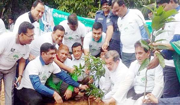 Chairman of the Parliamentary Standing Committee on Ministry of Railway ABM Fazle Karim Chowdhury MP planting a sapling of a fruit bearing plant at Raozan upazila sadar on Tuesday.