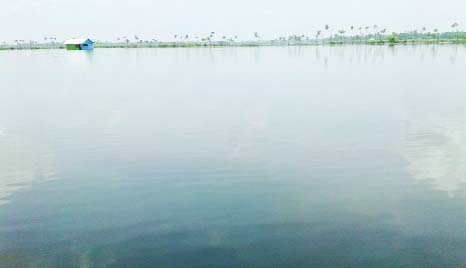 FENI: A fish farm at Sakantorpur in Sundarpur Union has been drowned due to rainfall and hilly water . This snap was taken on Sunday.