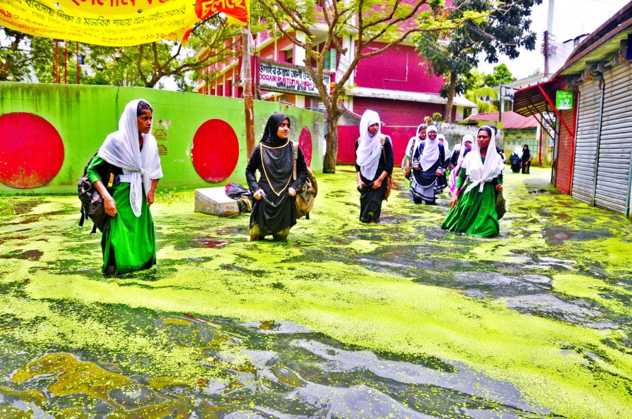 Girl students wading through stagnant water to reach their schools. This photo was taken from DND Project in Matuail area on Sunday.