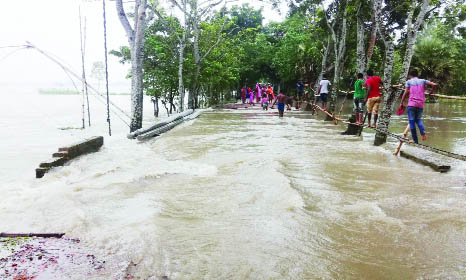 JAMALPUR: People at Boliyadah area using bamboo bridge as the road has broken and flooded on Sunday.