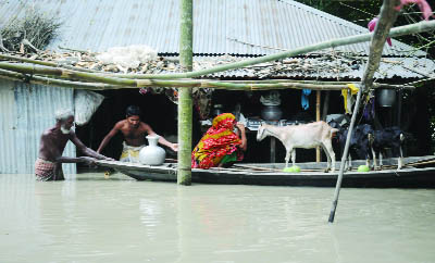 BOGRA: A flood affected family going to safer place as the water level in the Padma River at Sariakandi point has crossed the danger level , This picture was taken from Chandanbaiser Gugu Mari area yesterday.