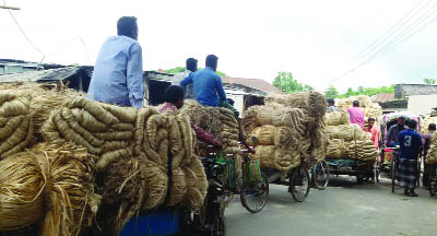 MODHUKHALI(Faridpur): Farmers taking back their jute products to home from the local markets due to low price of jute. Per maund of jute was sold at Tk 1200 to 1800 . This picture was taken from Modhukhali Bazar yesterday.