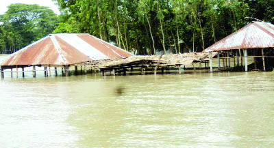 SAGHATA(Gaibandha): Houses at Saghata have been submerged due to water rise of Jamuna and Kathakhali River yesterday.