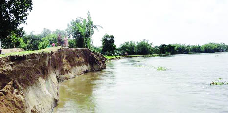 RANGPUR: River erosion devouring houses and lands alone the riverside areas amid continuous improvement of flood with the recession of floodwater during six days till Wednesday on the Brahmaputra Basin.