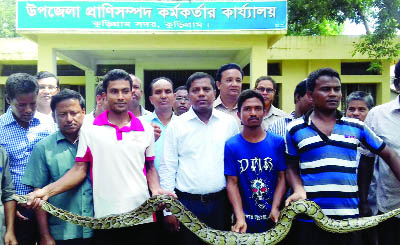KURIGRAM: A kid of 10 feet -long python was recovered from Mogolbacha Union under Kurigram Sadar Upazila on Wednesday morning .