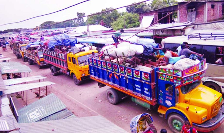 As strong current in the River Padma disrupted the ferry service on Paturia-Daulatdia and Shimulia-Kawrakandi routes, hundreds of goods and cattle laden trucks, covered vans and passenger buses got stucked in the severe gridlock. This photo was taken fro