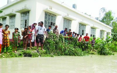 GANGACHARA (Rangpur): Students, teachers and guardians are trying to save Bir Muktijuddah Mustasfa Kamal Anandolok School at Char Binbina from Teesta River erosion. This snap was taken yesterday.