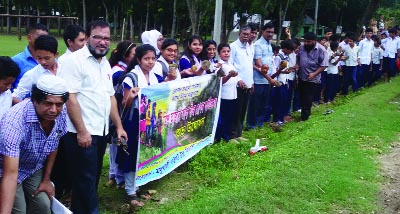 MADHUKHALI(Faridpur): Palm tree plantation programme was inaugurated at Madhukhali Pilot High School premises recently.