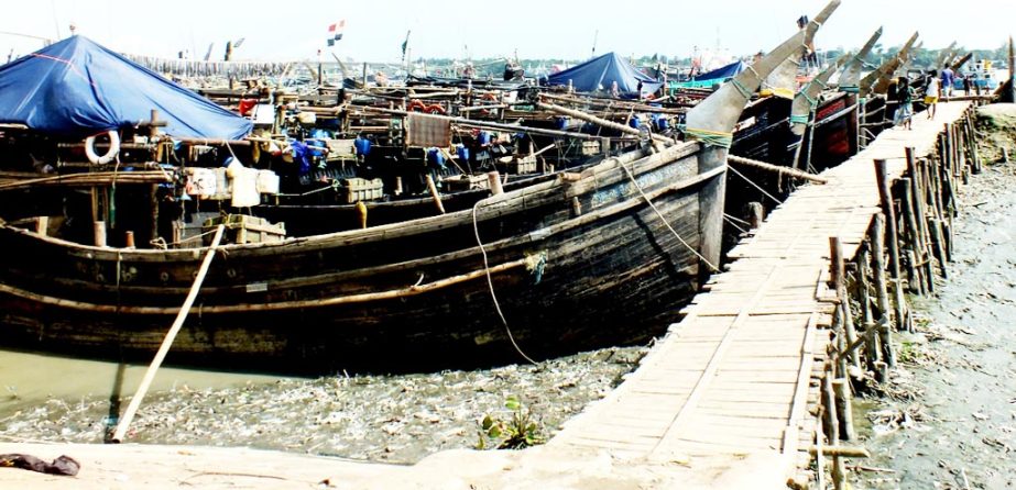 Boats are being anchored at Fisheries Ghat in the port city on Tuesday as ban on catching hilsa for a month.