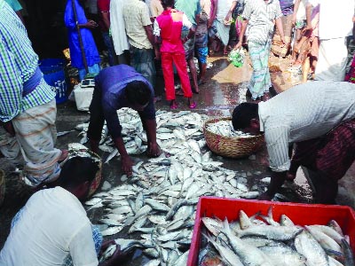 BARISAL: Traders and buyers passing busy time as hilsa market in Barisal has become crowded again after ending 22-day ban on Monday.