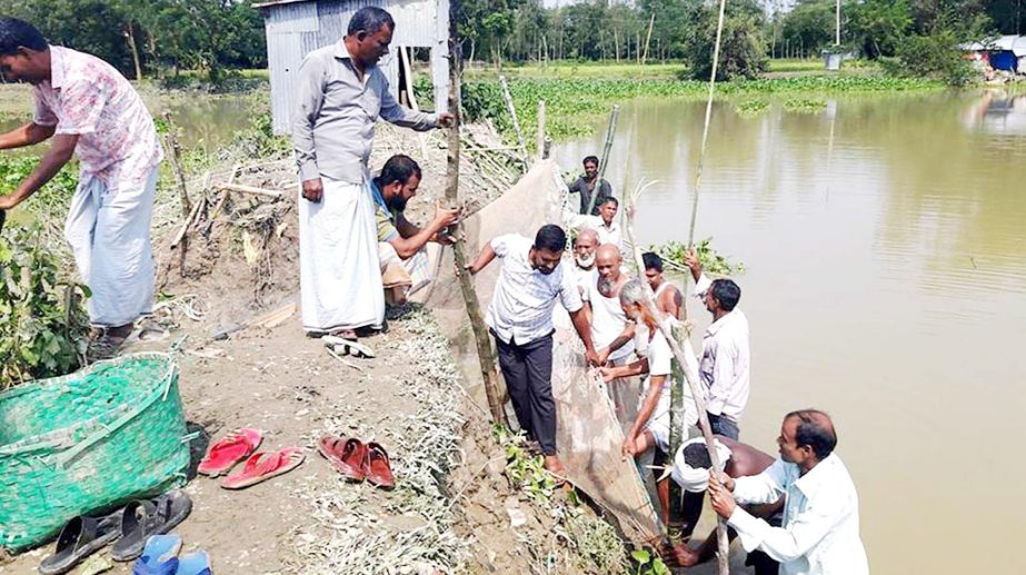 Fishermen are repairing the Project area damaged dam at Muhuri area in Mirersarai Upazila on Monday.