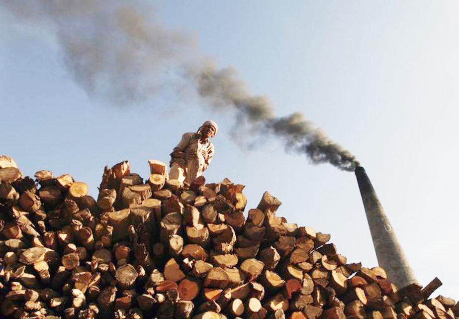 A labourer stacks firewood for use in a brick kiln as smoke billows from a chimney on the outskirts of Jammu.
