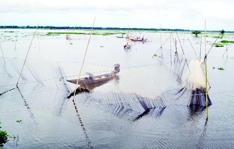SYLHET: Fishermen in Sylhet passing busy time in fishing as water level of different ponds and canals has decreased. This snap was taken from Noikhaiyer Canal on Wednesday.