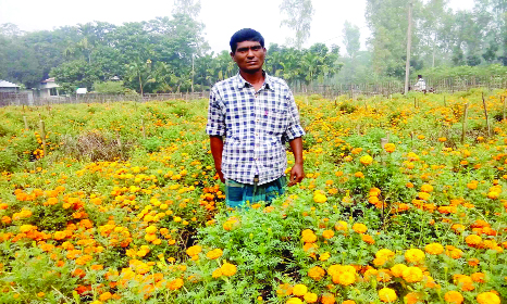 SUNDARGANJ (Gaibandha): Flower cultivation has gained momentum at East Chapahati Village in Sundarganj Upazila recently. Many people of the area have become self-reliant by farming different varieties of flowers.