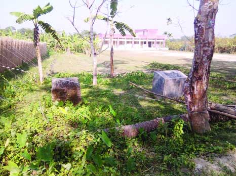 BANARIPARA (Barisal): The martyred intellectual killing ground at Nava- Norenkathi area in Banaripara Upazila has been left abundant and carelessly as it was the mass graveyard of more than 45 people including women and children who were killed du