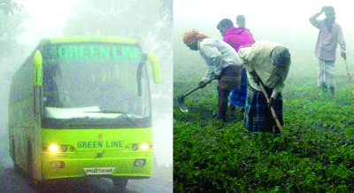 RANGPUR: The sweeping cold wave with dense fog disrupted normal life, affected farm activities and movements of vehicles on the roads and highways in the northern districts on Saturday.