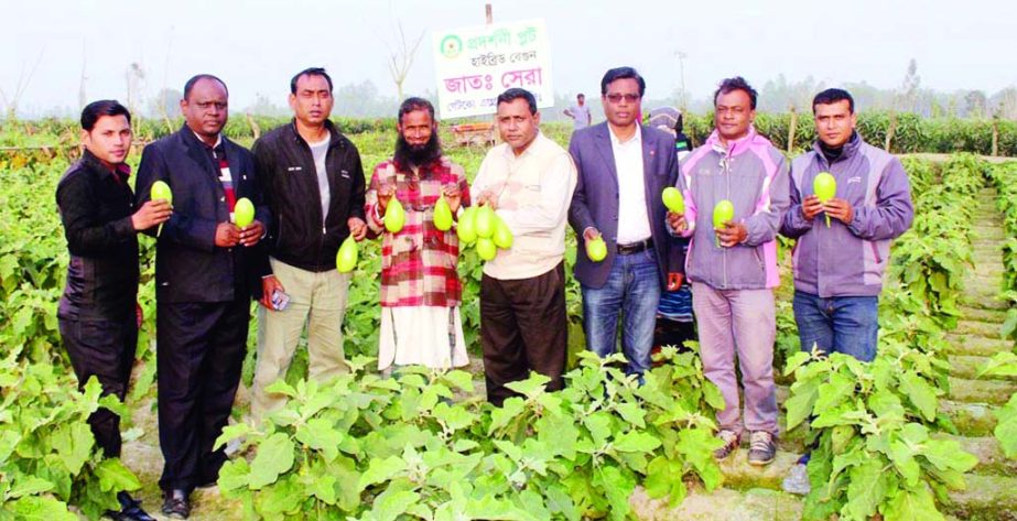 SHERPUR (Bogra): Agriculturists and guests visiting a brinjal field of farmer Nazrul Isalm on Best Quality Brinjal Exhibition and Field Day at Mohipur Balapara recently.