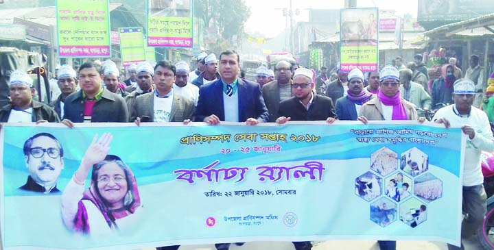GANGACHARA(RANGPUR): A rally was brought out by Upazila Livestock Office, Gangachara on the occasion of the Livestock Service Week on Monday.