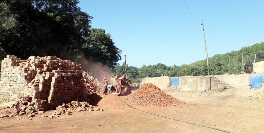 Illegal brickfields were set up at Faitong Union in Lama Upazila defying government ban. This snap was taken on Saturday.