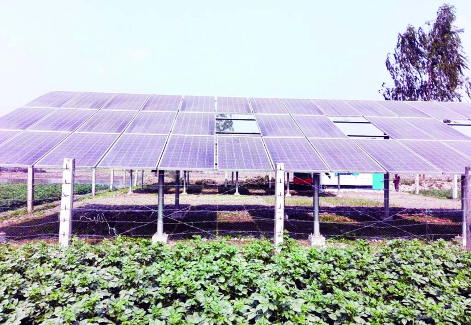 RANGPUR: Farmers in Rangpur achieved bumper production of seasonal crops by using Solar Pump Under Solar Irrigation Project. This snap was taken from Kounia Upazila on Tuesday.