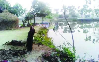 SUNDARGANJ(Gaibandha): Local inluentials digging pond cutting road on Bamandanga -Sundarganj Road at Rambhandra Village in Sundarganj Upazila.