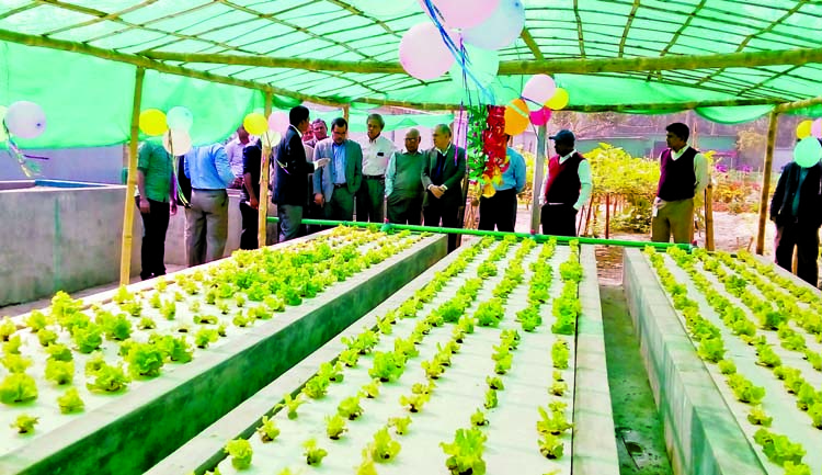 Executive Vice-President of Microcredit Regulatory Authority Amalendu Mukherjee, among others, at the inaugural ceremony of new cultivation method organised by Center for Development Innovation and Practices in Ashulia on Tuesday.