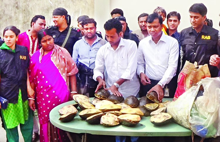 RAB Mobile Court on information recovered some rare species of turtles from city's Sakharibazar area on Friday and jailed three men for illegally selling those.