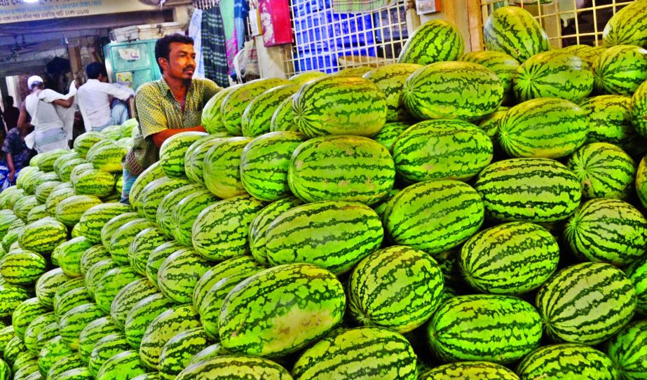 Small traders started stockpiling of watermelon for charging higher price in summer. This photo was taken from Swarighat area on Friday.
