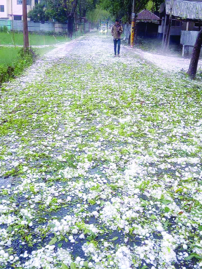 SAIDPUR(Nilphamari): A view of hail during the nor'wester at Saidpur Upazila on Friday.