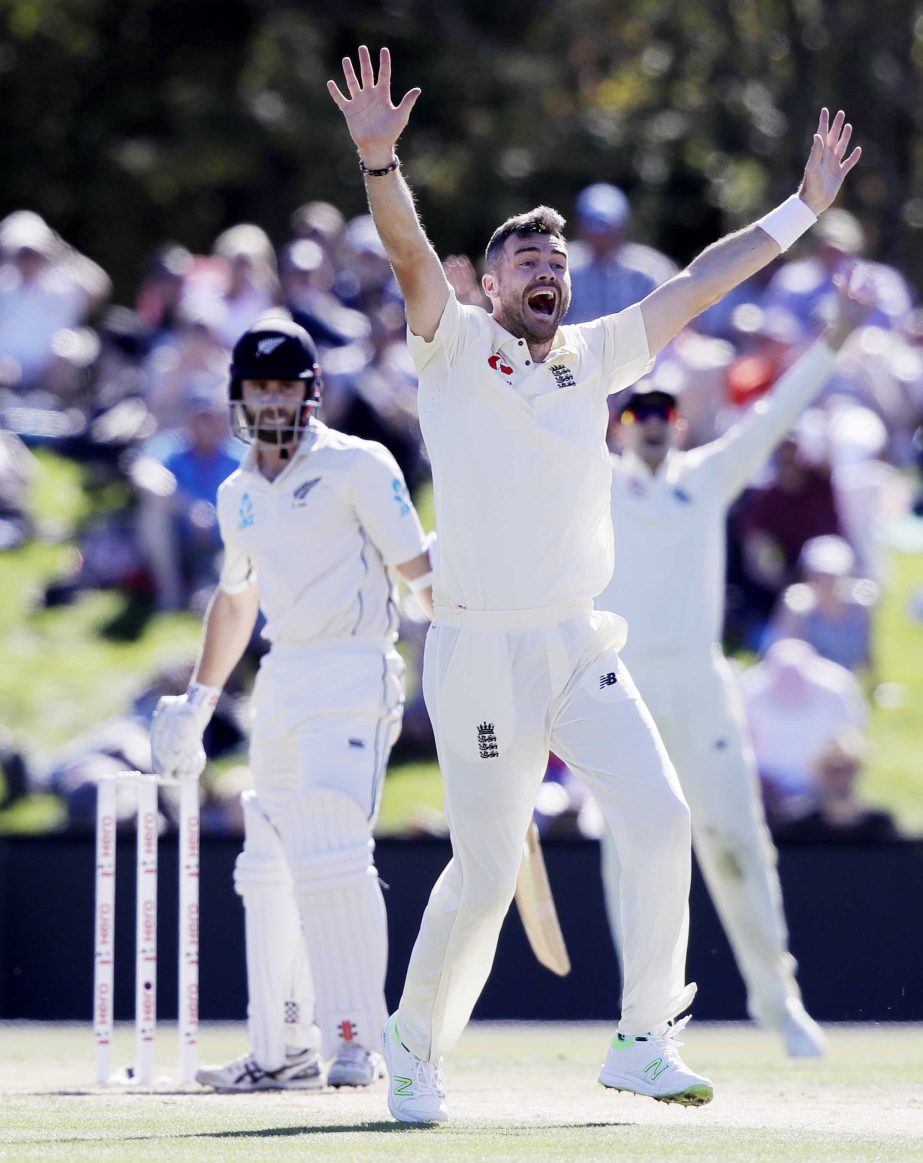 England's James Anderson (right) appeals unsuccessfully for the dismissal of New Zealand's Kane Williamson during play on day two of the second cricket Test in Christchurch, New Zealand on Saturday.