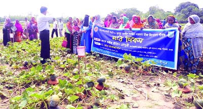 RANGPUR: Regional Agriculture Research Institute of Bangladesh Agriculture Research Institute (BARI) organised a farmers' field day on production of breeder seeds of BRRI- -evolved cucurbit groups vegetables at Burirchar on Wednesday.