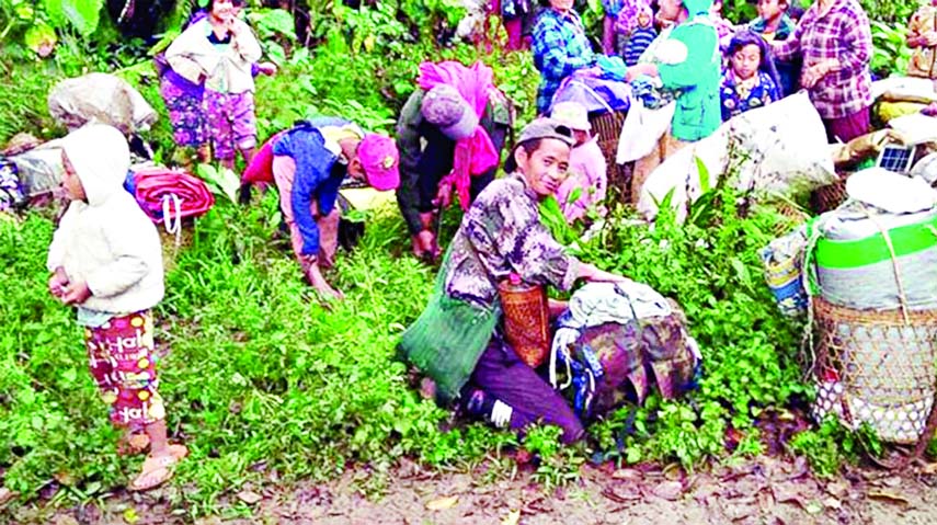 In this photo provided by Labram Hkun Awng, Kachin civilians displaced by fighting between the Myanmar military and Kachin guerrillas take shelter in a jungle close to Tanai, northern Kachin state, Myanmar on Thursday.