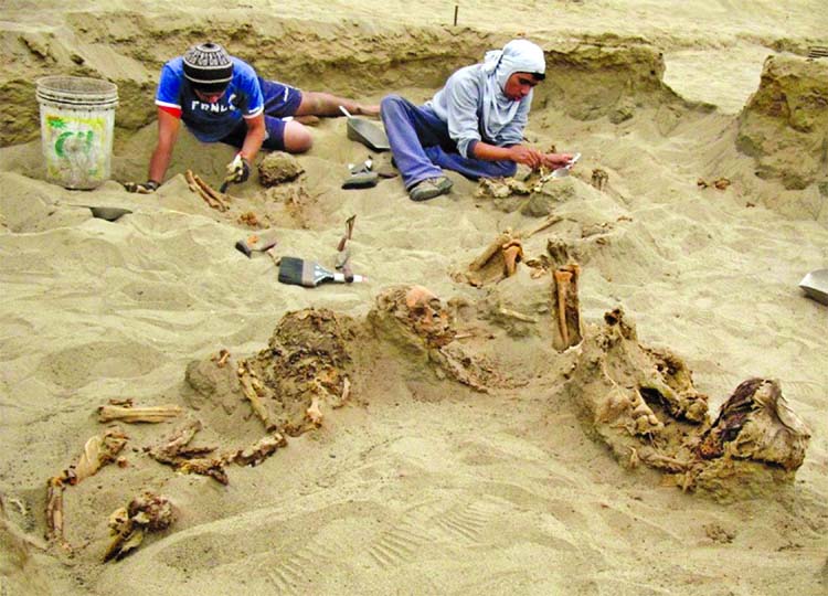 Excavations near the northern Peruvian coastal city of Trujillo began in 2011 when archaeologists uncovered the remains of 42 children and 76 llamas.