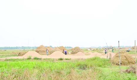 KISHOREGANJ: Bumper Boro production has been achieved in haor area in Kishoreganj this season. Farmers in the area are passing busy time in Boro paddy harvest works. This picture was taken from Gupdighi haor in Mithamoni Upazila on Sunday.