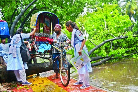 Rickshaw carrying two girl students being pulled to a safe position as a big tree got uprooted due to nor'wester on Monday near Chief Justice residence blocked the road. Another big tree also felled on the road in city's Bijoynagar (inset) disrupting co